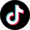 icon tiktok